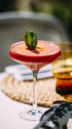 bibendum avignon_cocktail